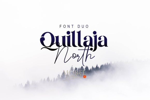 Quillaja North: The Ultimate Display Duo for Modern Design