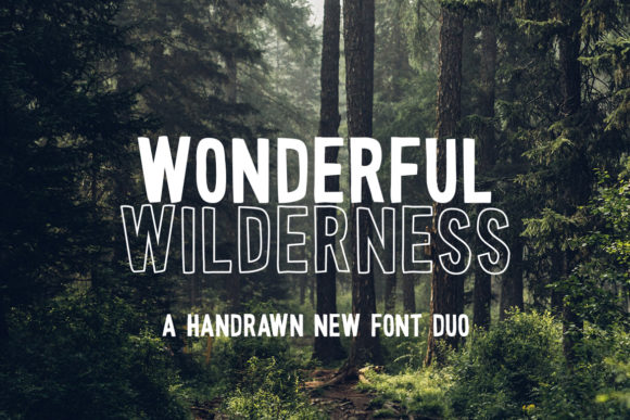 Wonderful Wilderness: A Bold Display Typeface for Modern Web Design